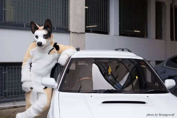 IMG_6882-lr19t.jpg of EF/EF23/MotorFurs/