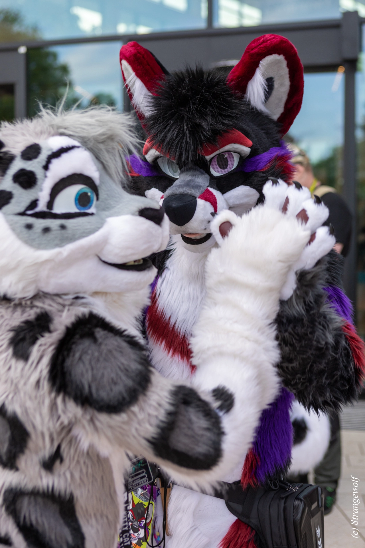 full image 1R3A9101-lr19t.jpg