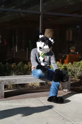 IMG_0912-lr.jpg of MFF/MFF2013/