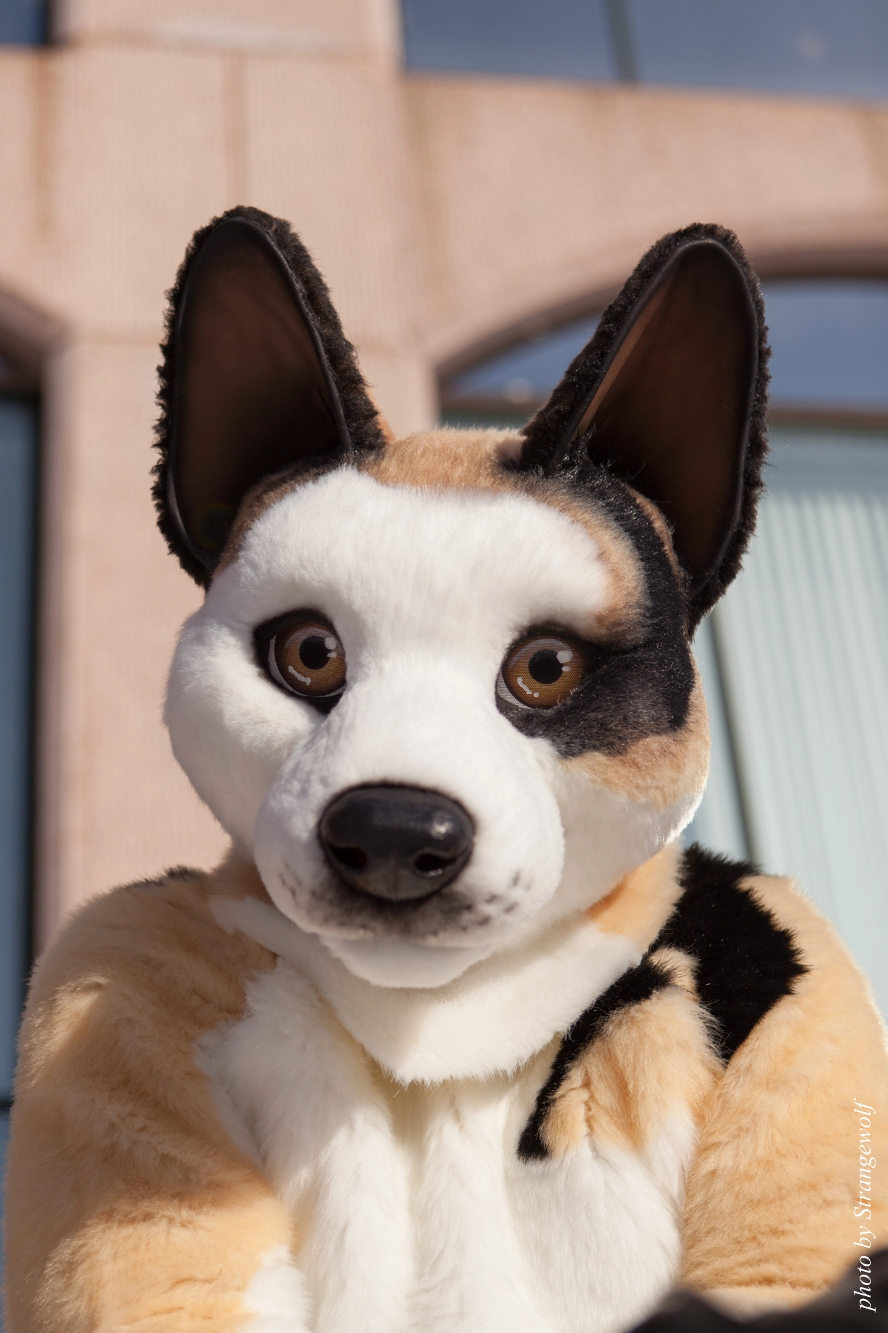 full image IMG_9585-lr19t.jpg