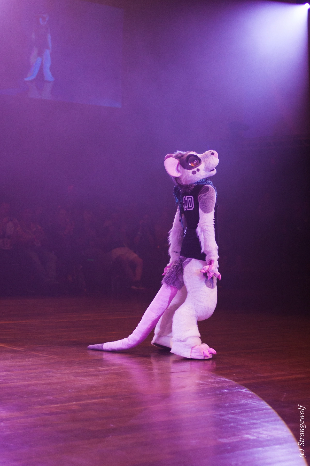 full image IMG_6372-lr19t.jpg