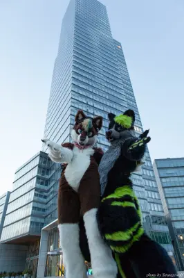 IMG_5395-lr16t.jpg of CFD/CFD14/