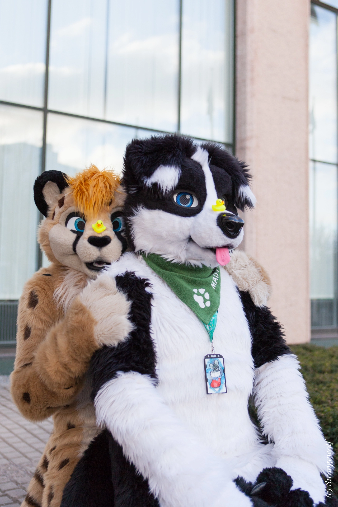 full image IMG_8807-lr19t.jpg