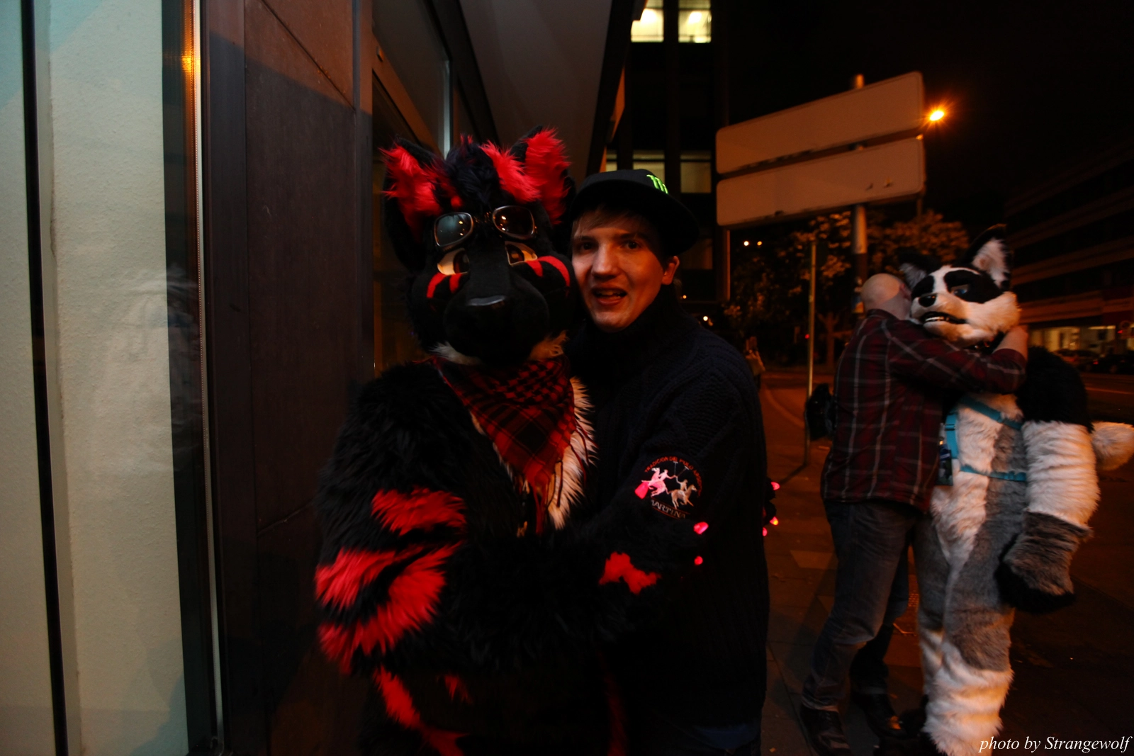 full image IMG_7648-lr16t.jpg