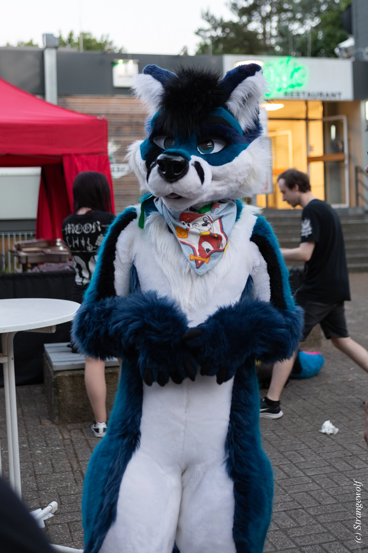 full image 1R3A2041-lr19t.jpg