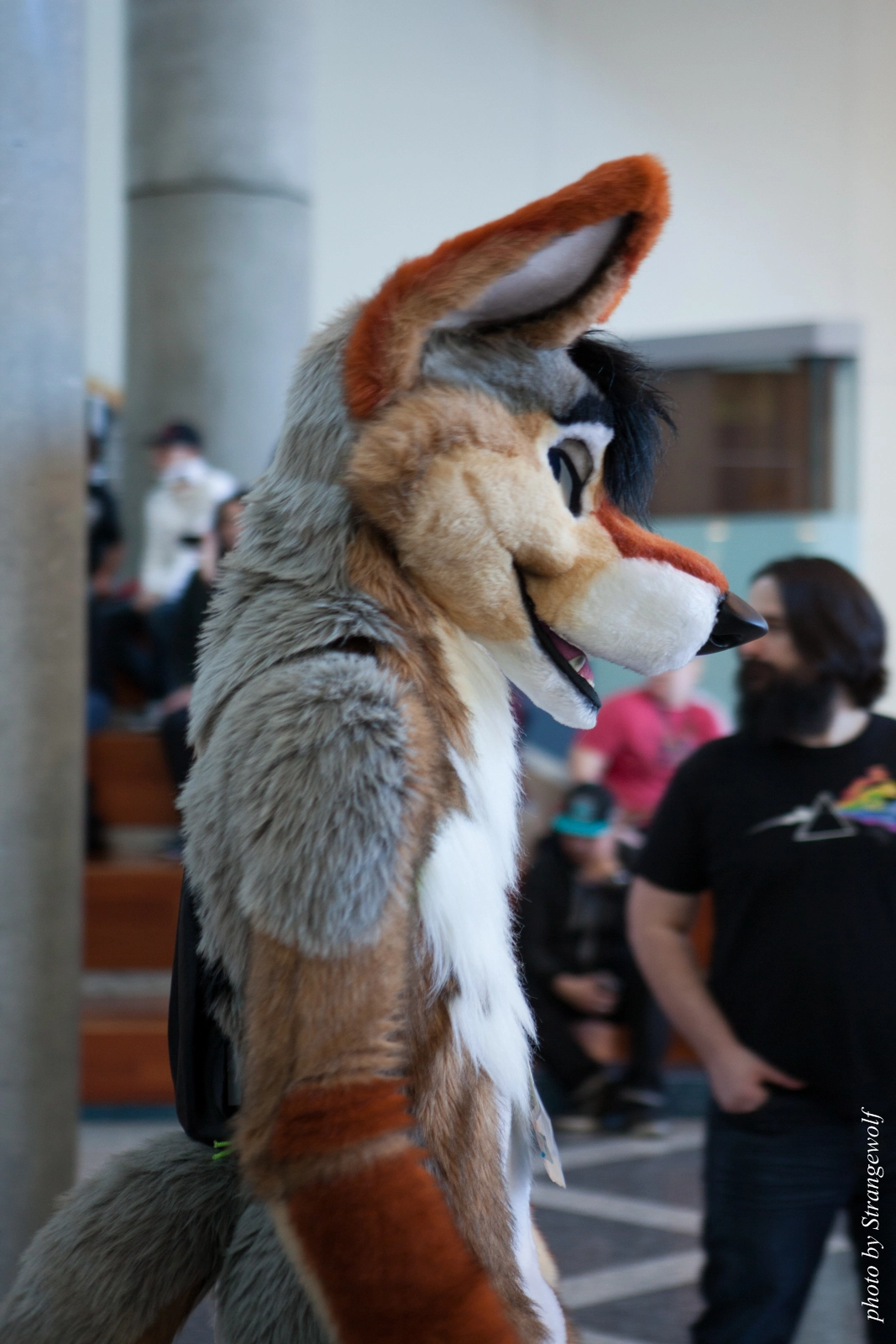 full image IMG_1066-lr16t.jpg