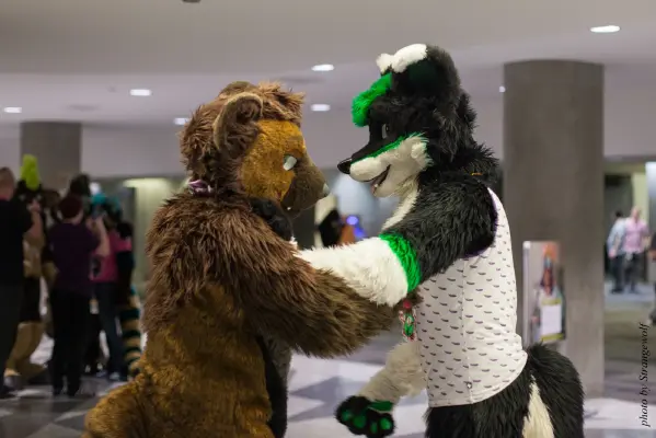 IMG_1157-lr16t.jpg of FC/FC2017/