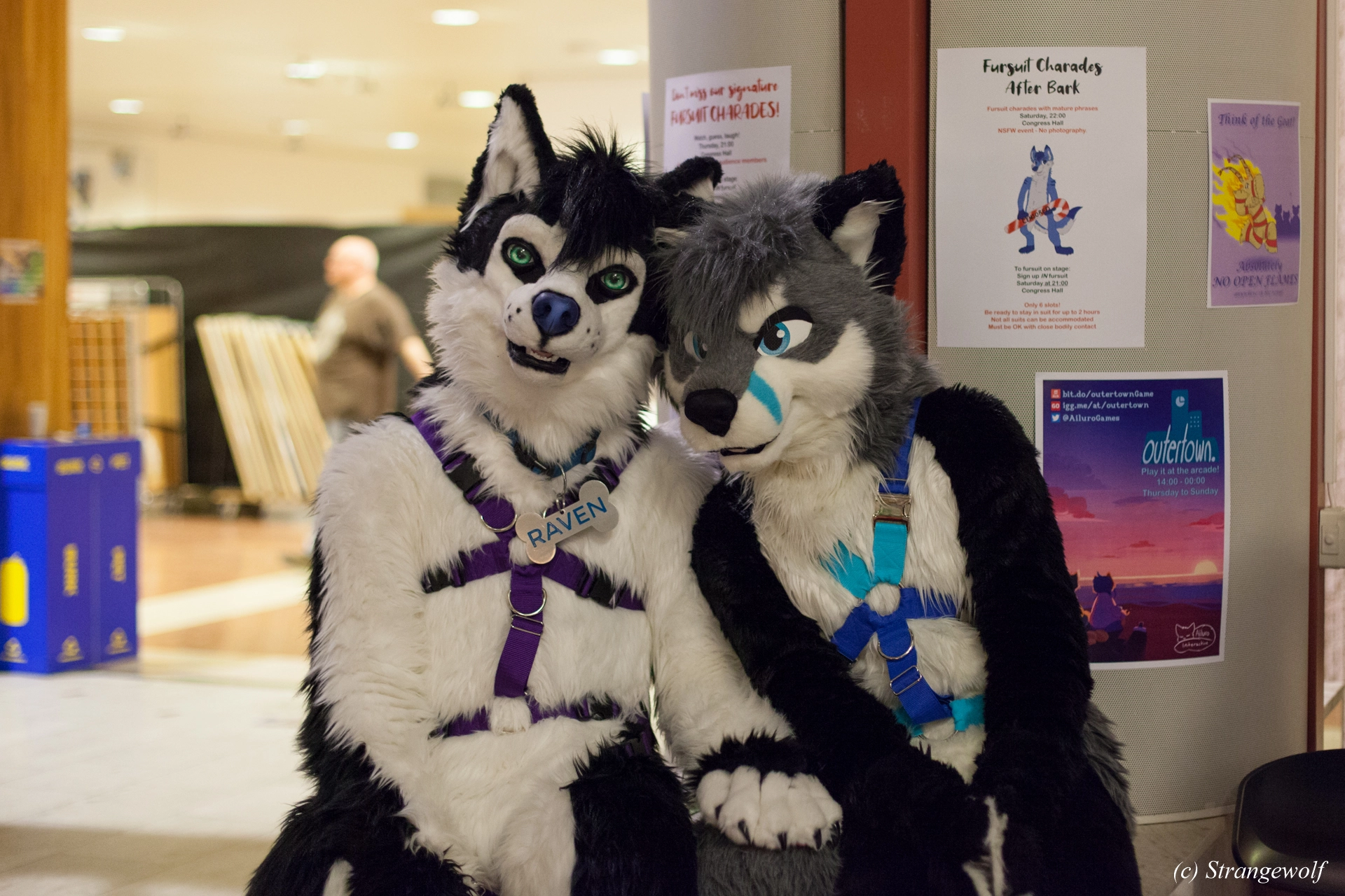 full image IMG_9369-lr19t.jpg