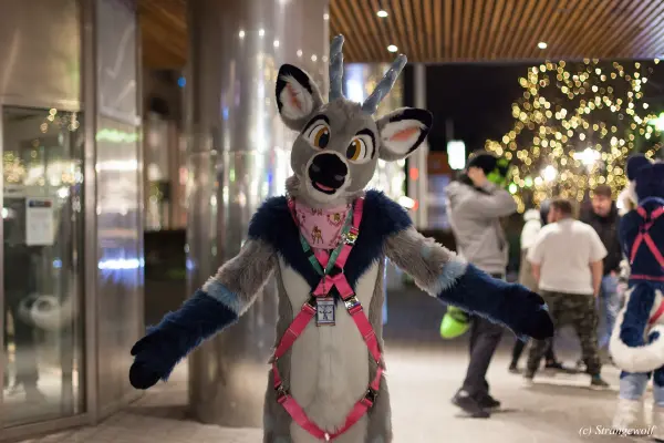 IMG_9410-lr19t.jpg of NFC/NFC2019/