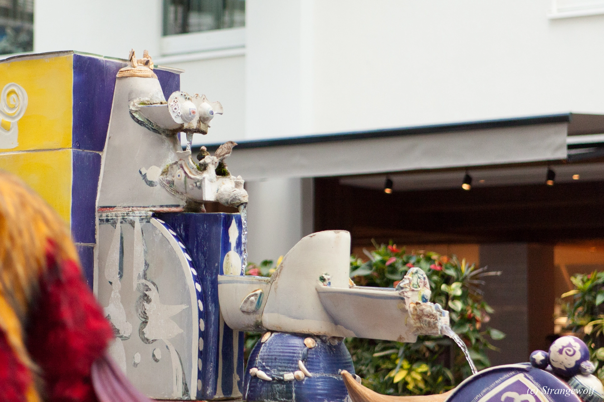 full image IMG_5432-lr19t.jpg