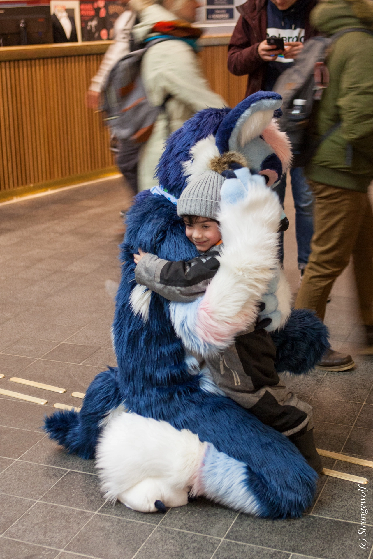 full image IMG_8515-lr19t.jpg