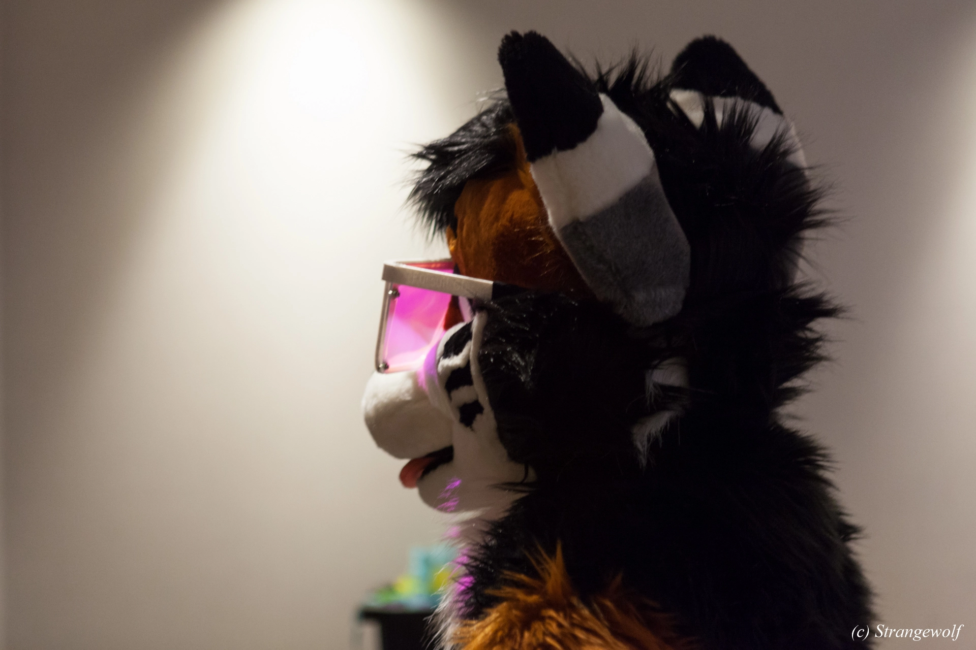 full image IMG_3810-lr19t.jpg