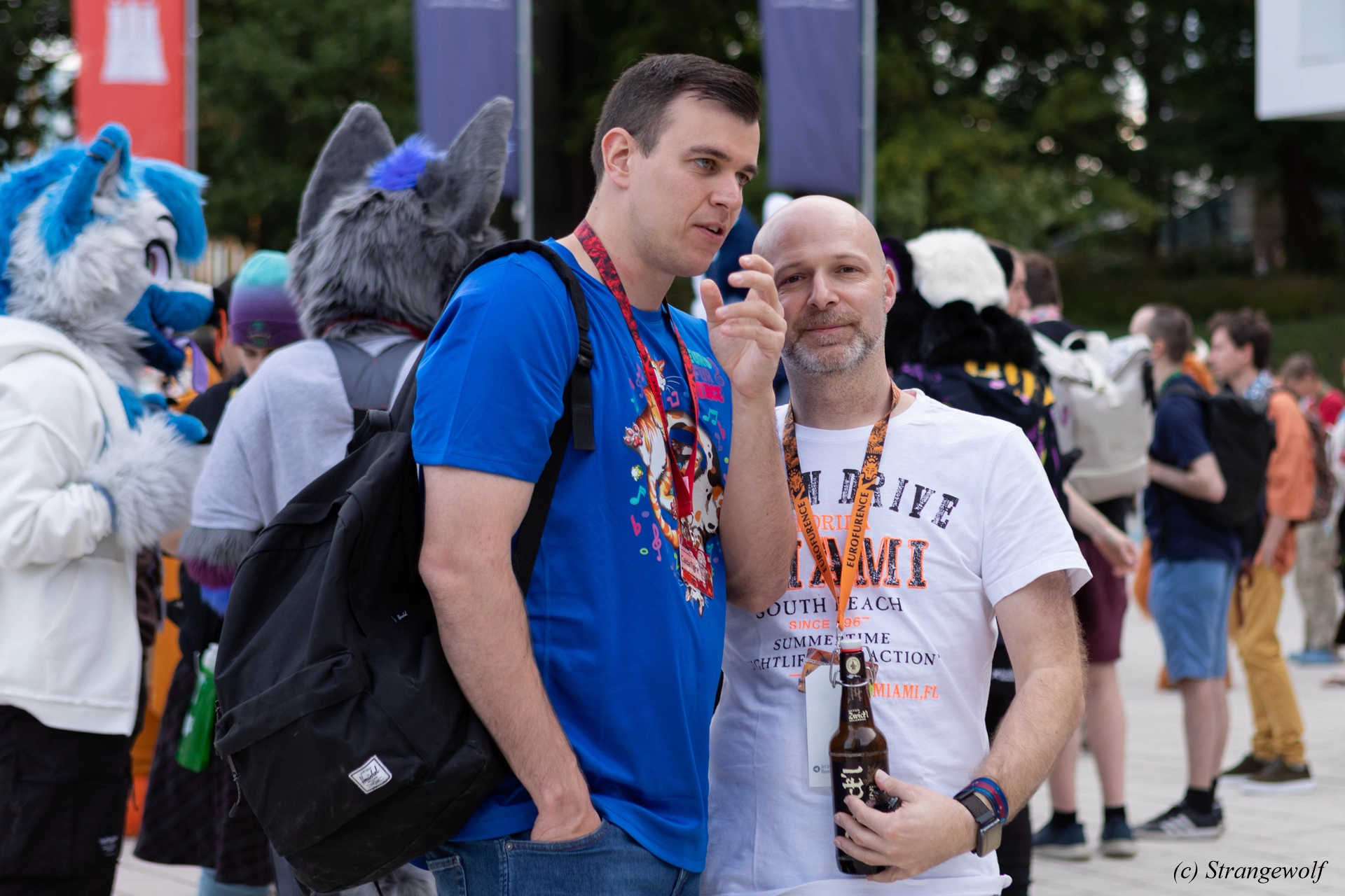 full image 1R3A9155-lr19t.jpg