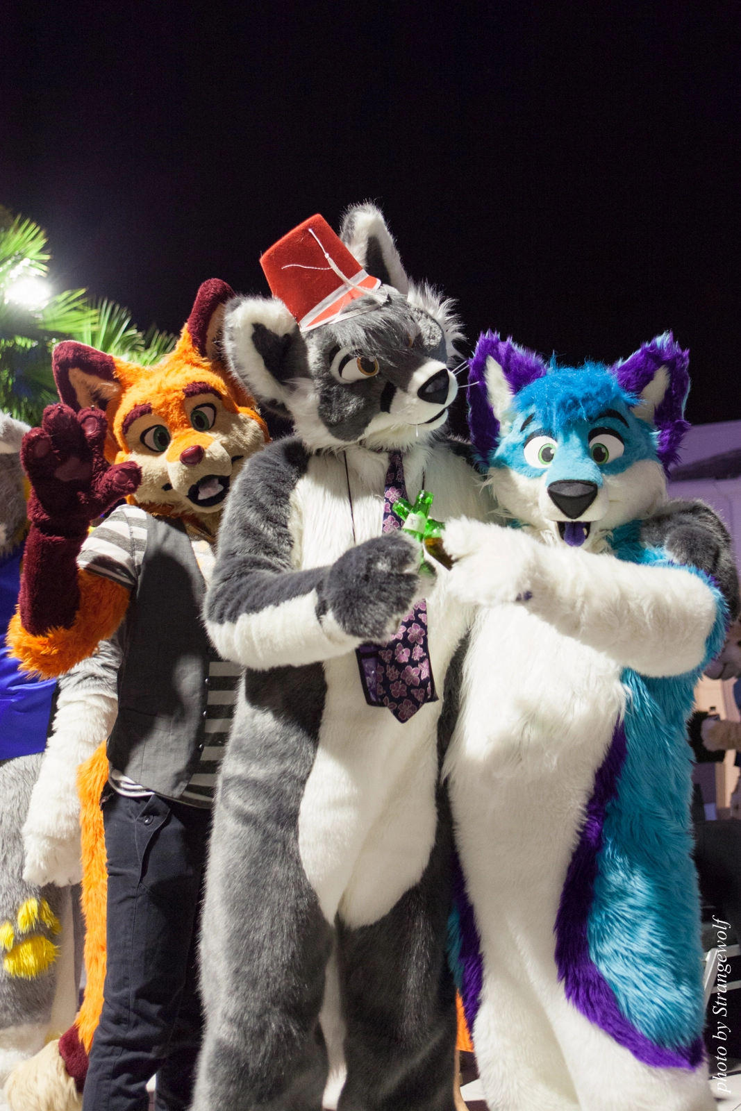 full image IMG_8620-lr16t.jpg