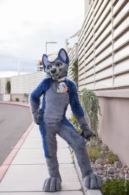 IMG_2645-lr19t.jpg of BLFC/2018/