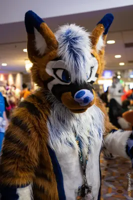 1R3A0292-lr19t.jpg of MFF/MFF2025/