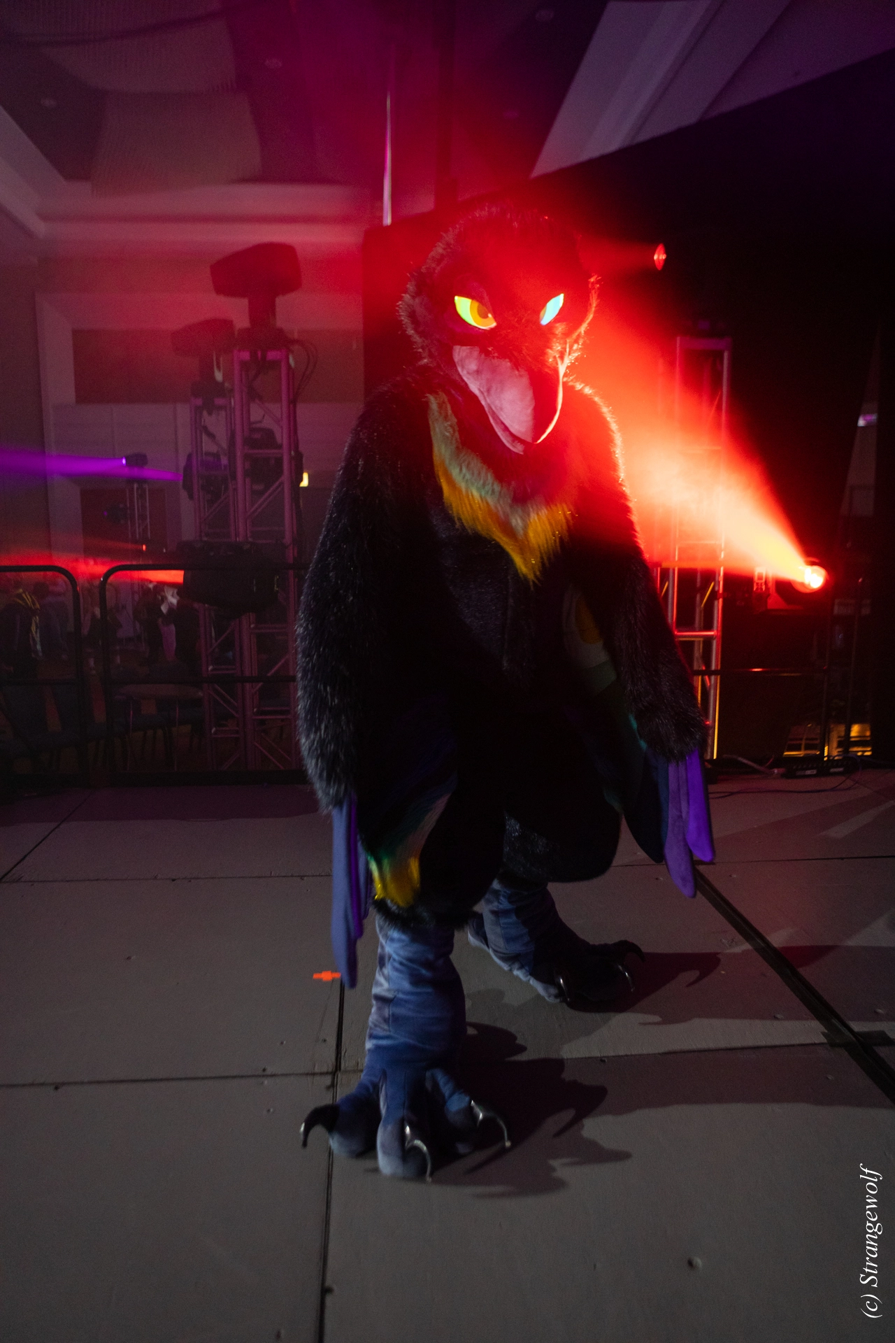 full image 1R3A0890-lr19t.jpg