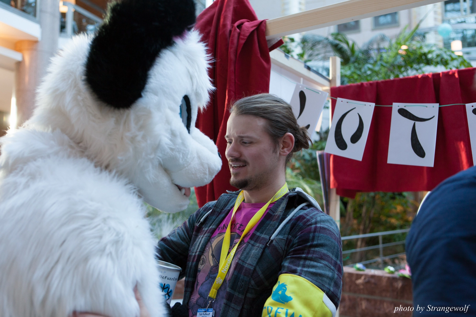 full image IMG_2089-lr16t.jpg