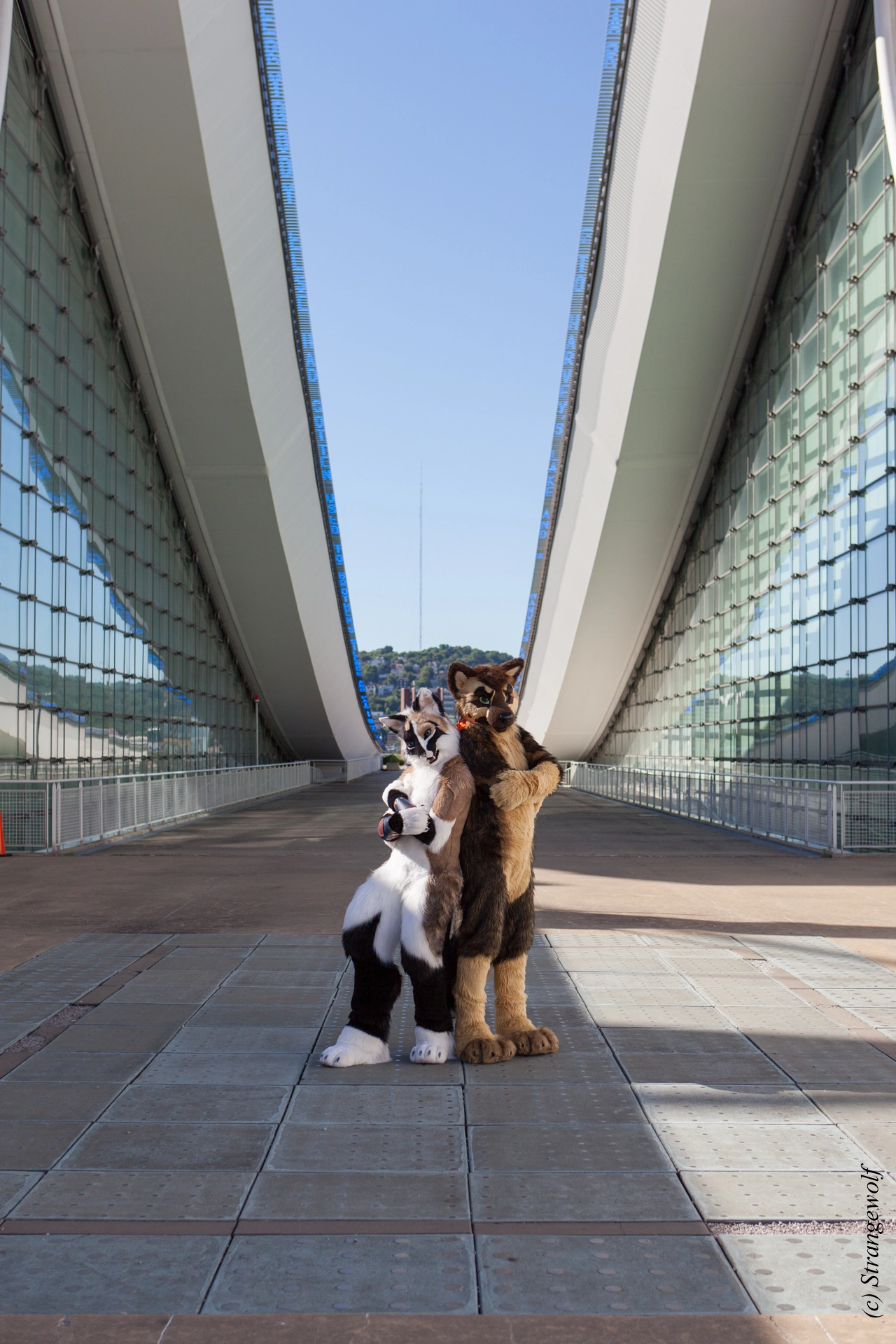full image IMG_4173-lr19t.jpg