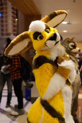 IMG_9091-lr19t.jpg of NFC/NFC2019/