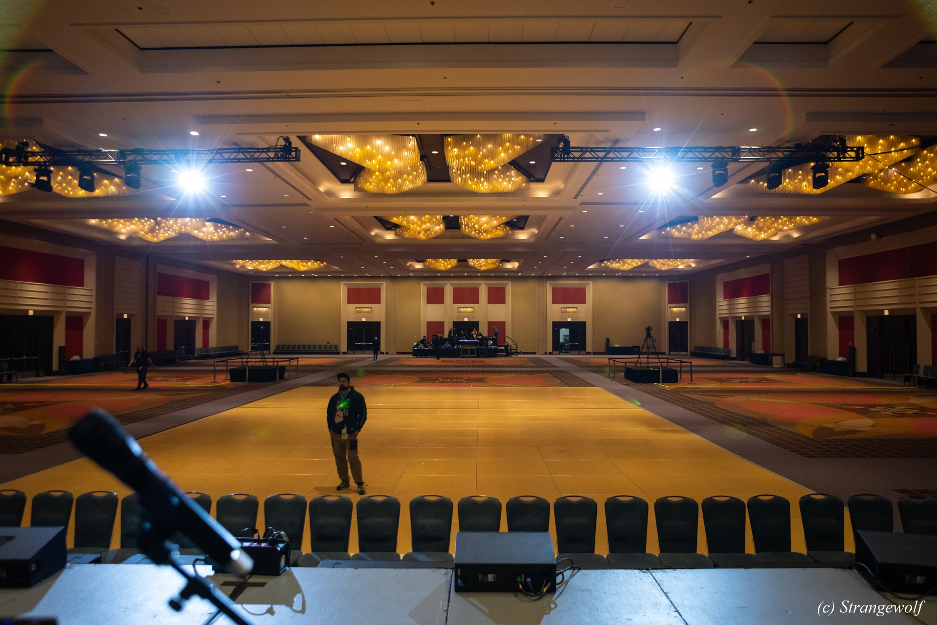 full image 1R3A0316-lr19t.jpg