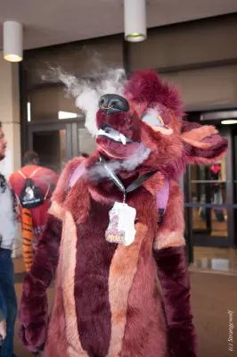 IMG_8455-lr19t.jpg of MFF/MFF2017/