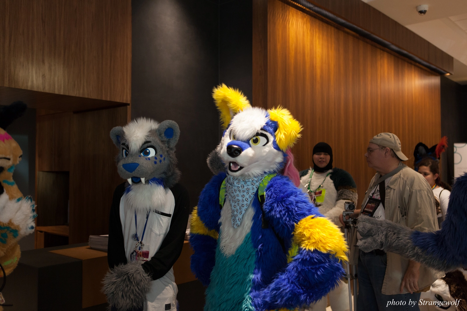 full image IMG_8108-lr16t.jpg