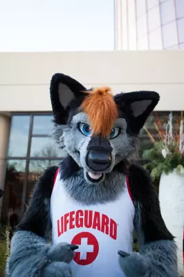 IMG_8186-lr19t.jpg of MFF/MFF2017/