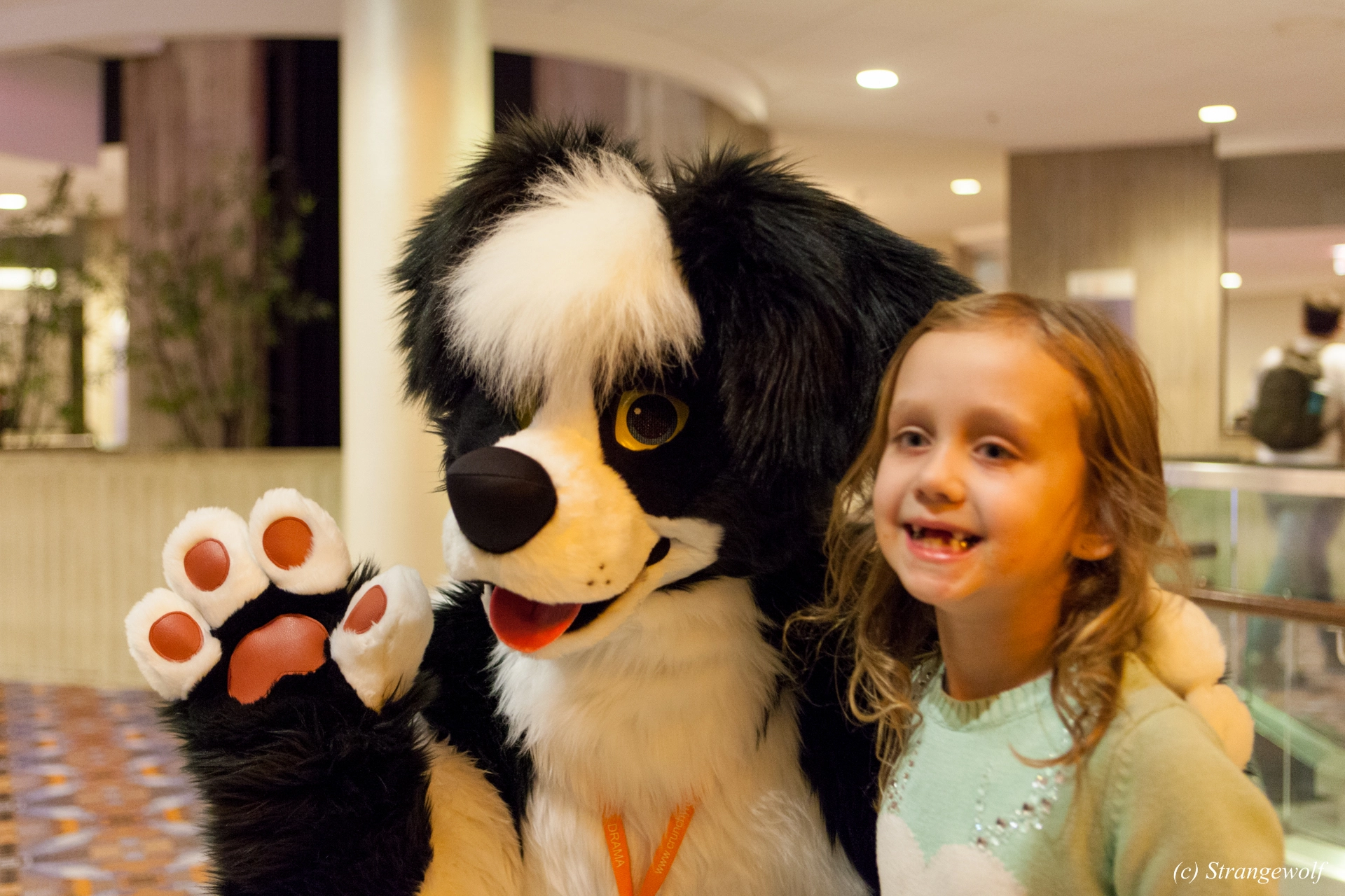 full image IMG_8582-lr19t.jpg