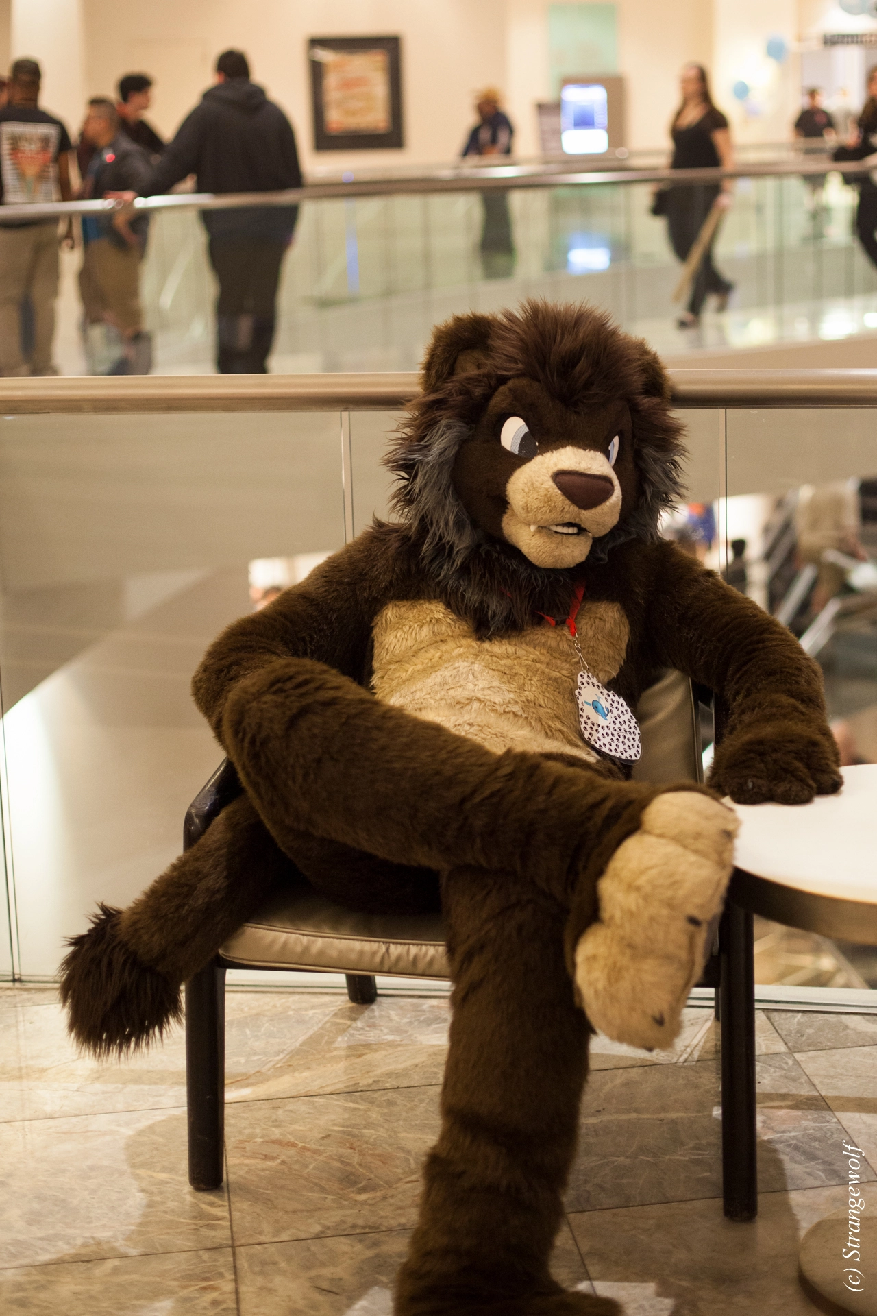 full image IMG_1353-lr19t.jpg