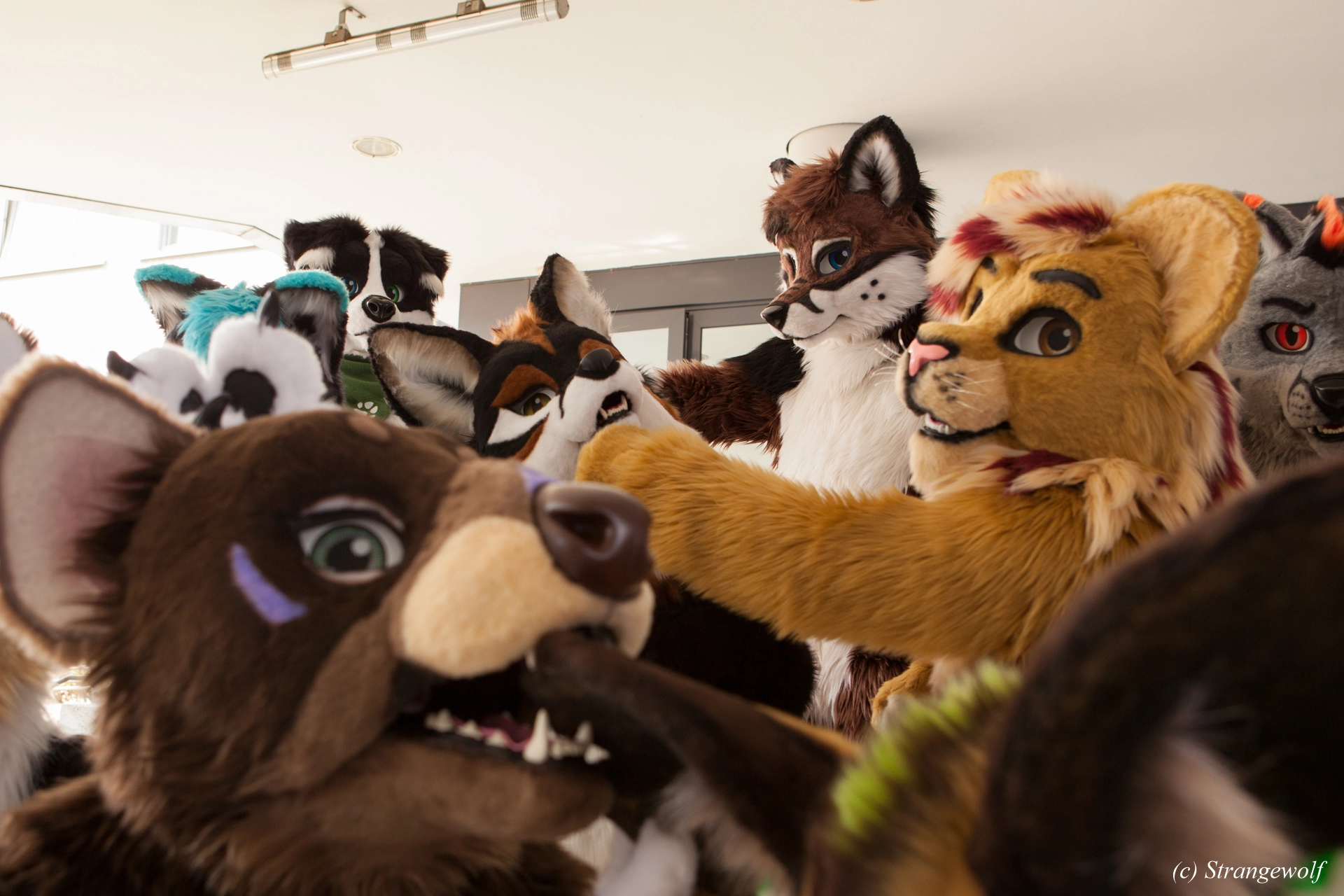 full image IMG_4921-lr19t.jpg