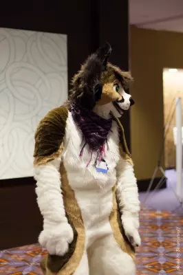 IMG_0820-lr16t.jpg of MFF/MFF2016/