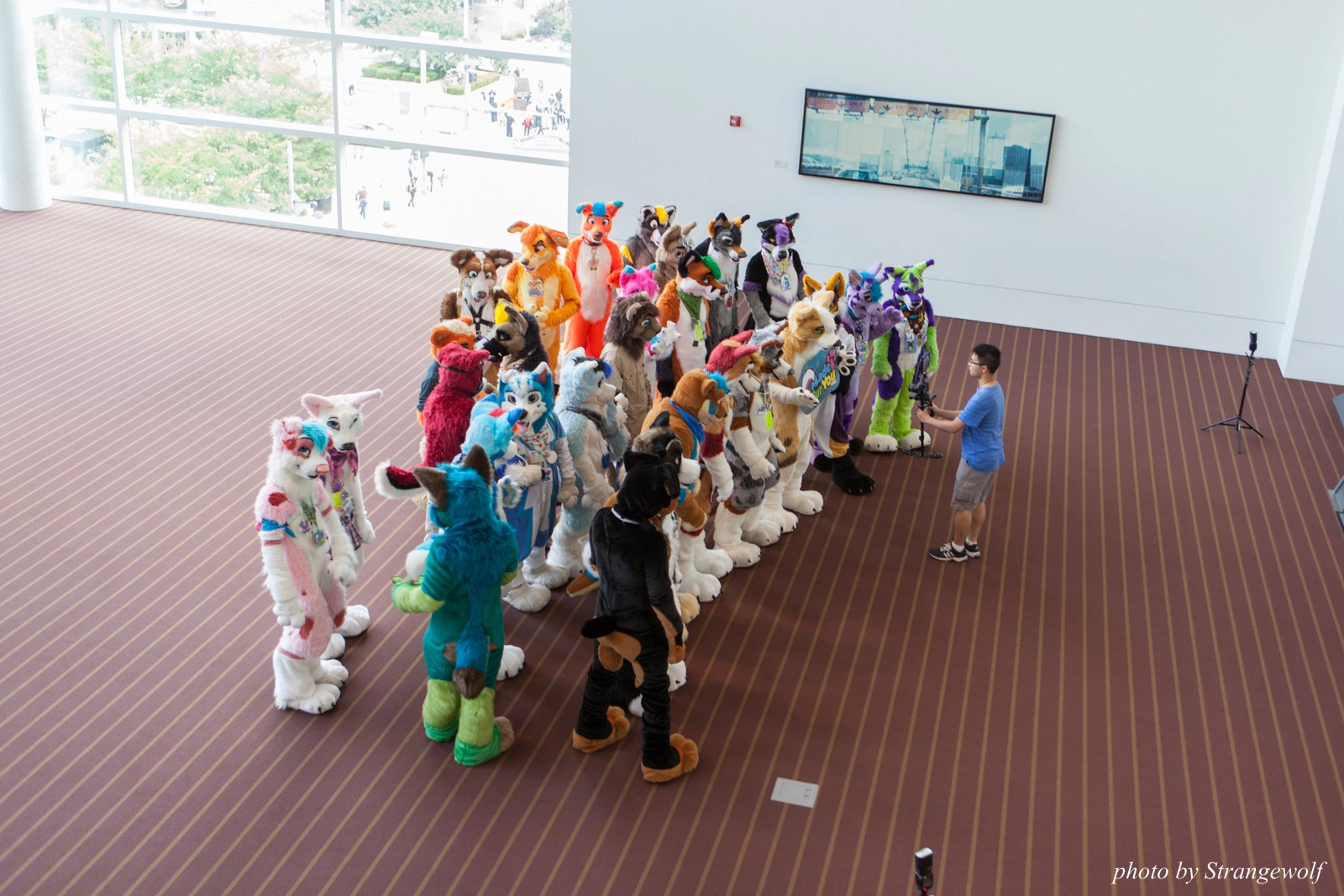 full image IMG_4120-lr16t.jpg