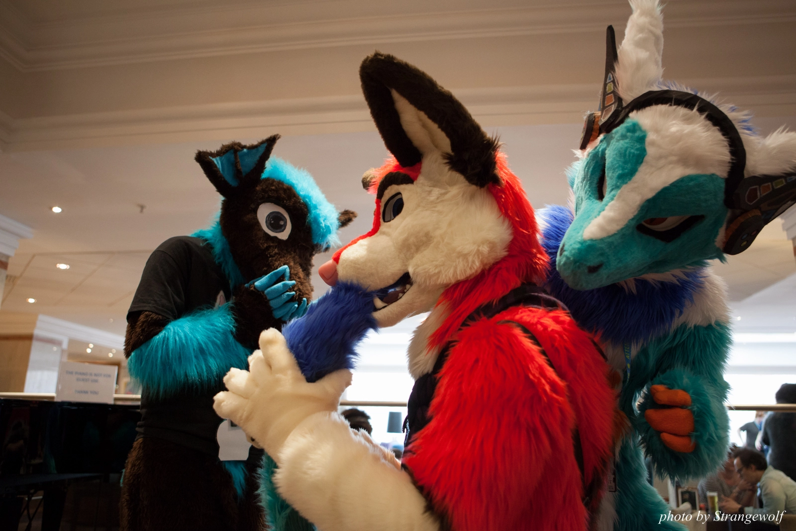 full image IMG_7412-lr16t.jpg