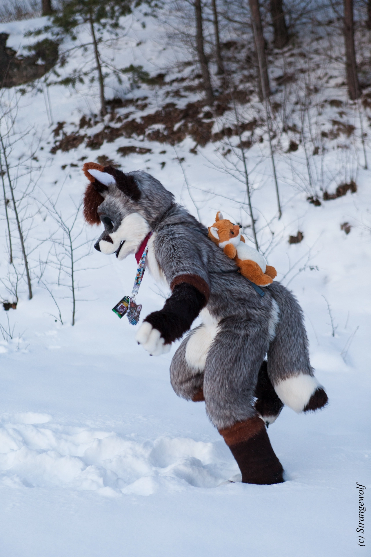 full image IMG_0615-lr19t.jpg