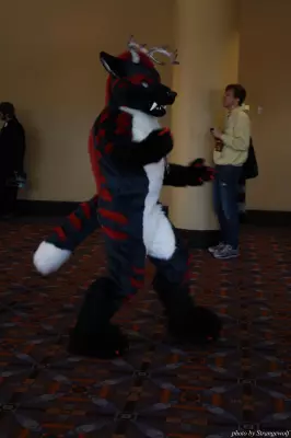 IMG_0591-lr.jpg of MFF/MFF2013/