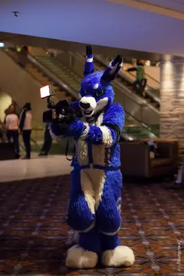 IMG_6627-lr19t.jpg of MFF/MFF2015/