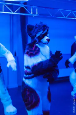 IMG_5425-lr16t.jpg of DFD/DFD2017/