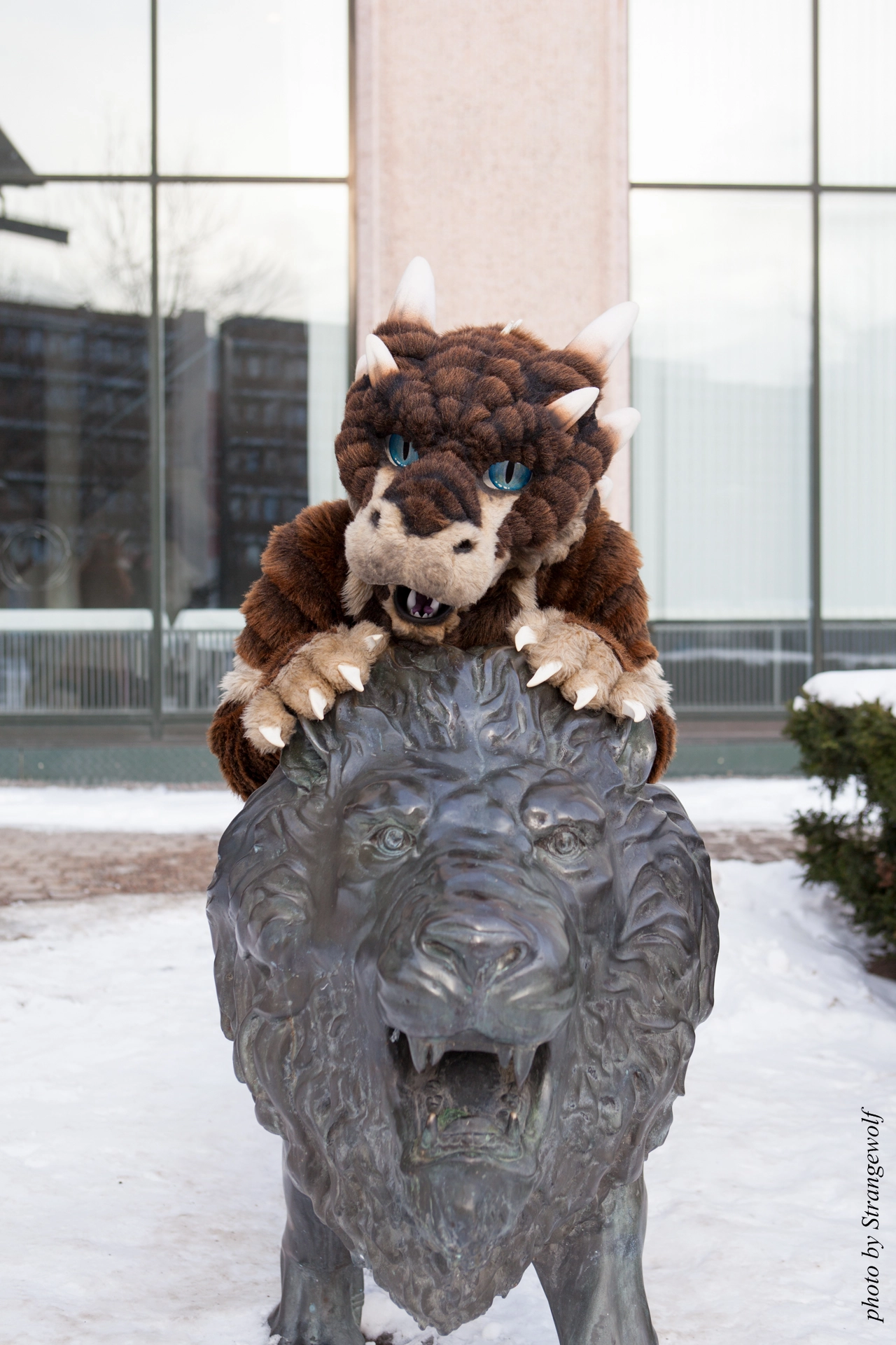 full image IMG_0355-lr19t.jpg