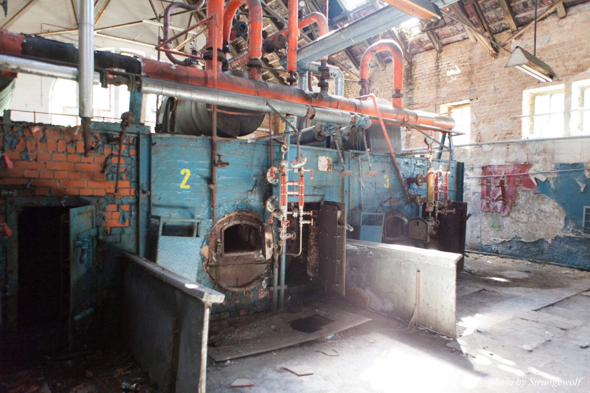 full image IMG_6114-lr19t.jpg