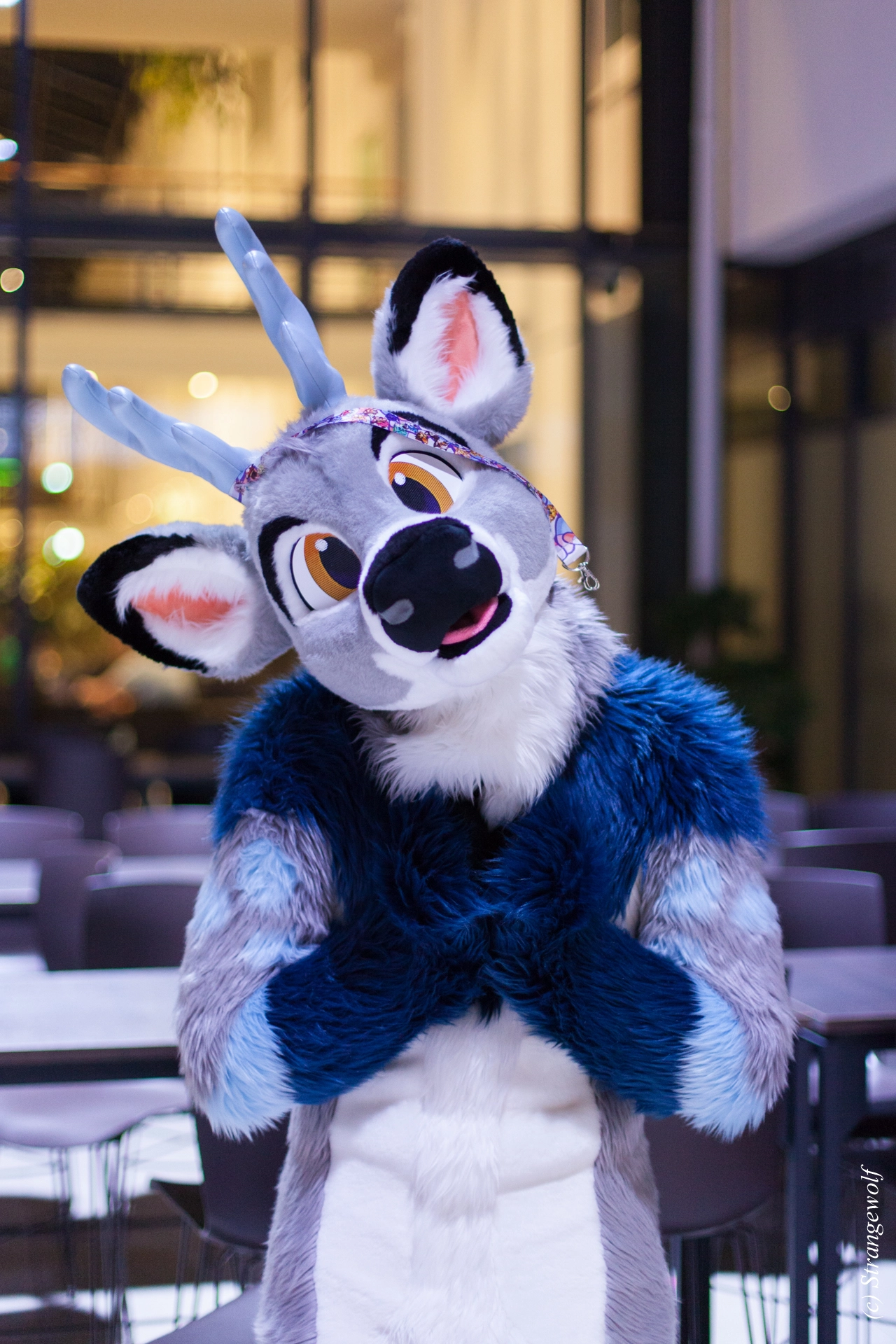 full image IMG_5458-lr19t.jpg