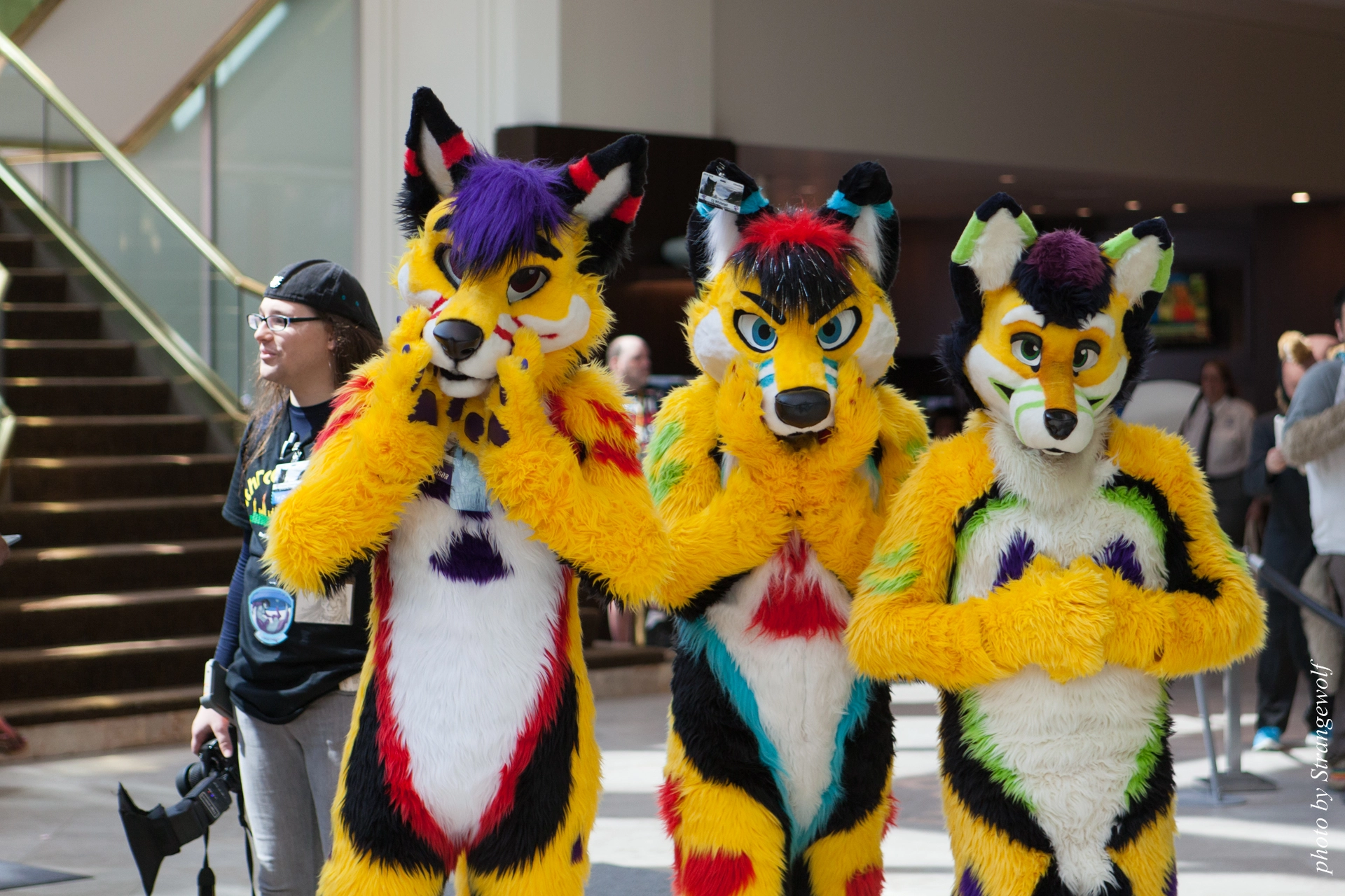 full image IMG_0370-lr19t.jpg