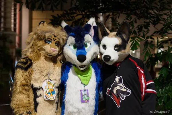 IMG_9031-lr19t.jpg of NFC/NFC2019/Shoot-Defus/