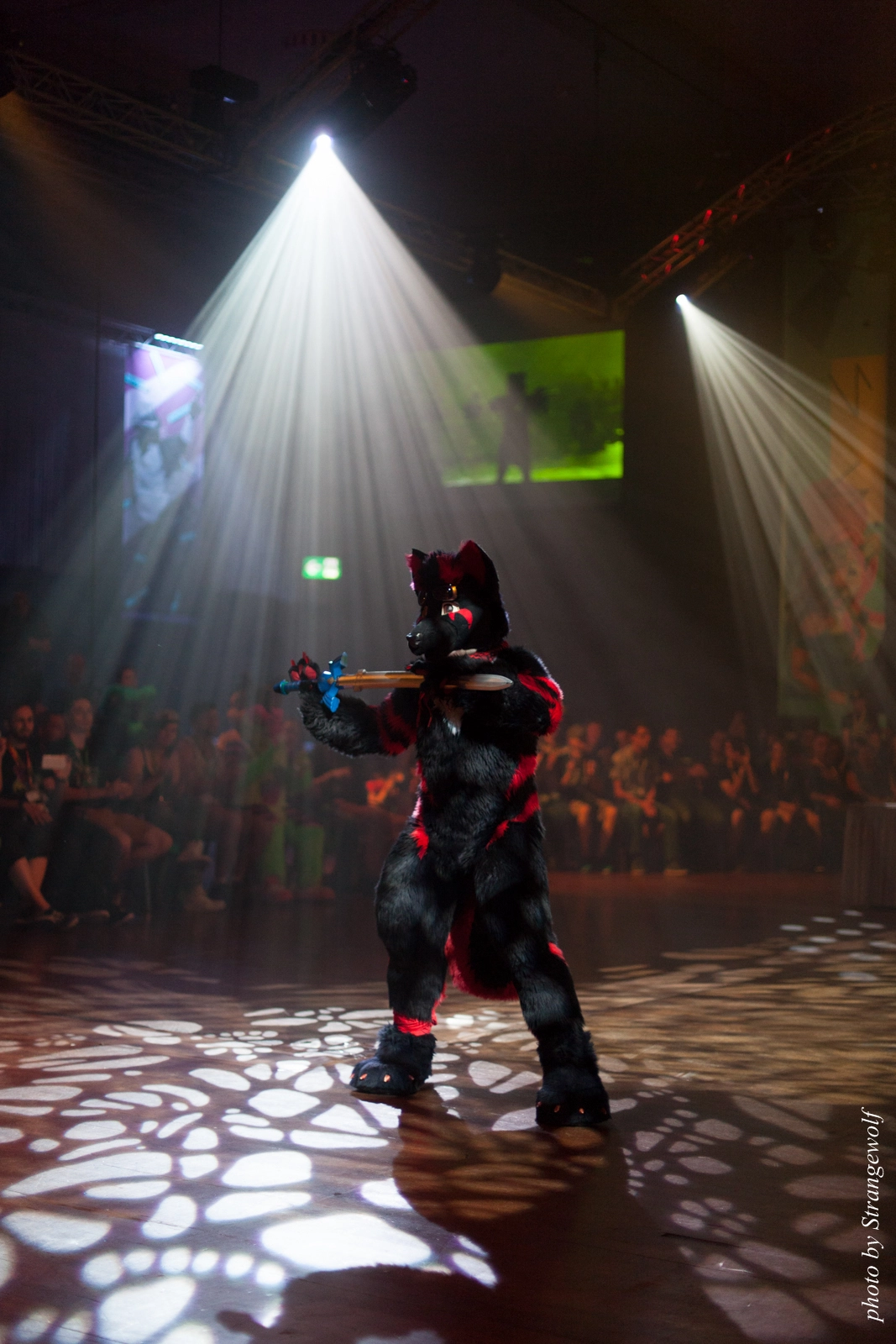 full image IMG_9179-lr16t.jpg