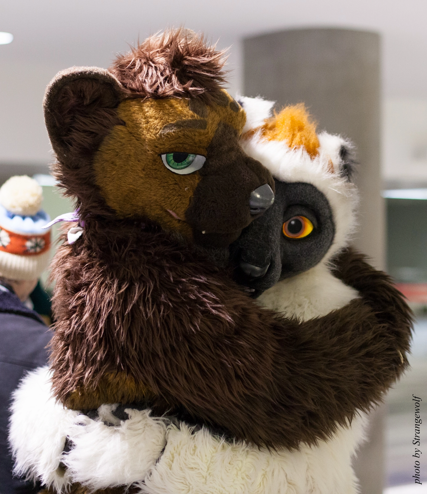 full image IMG_1147-lr16t.jpg