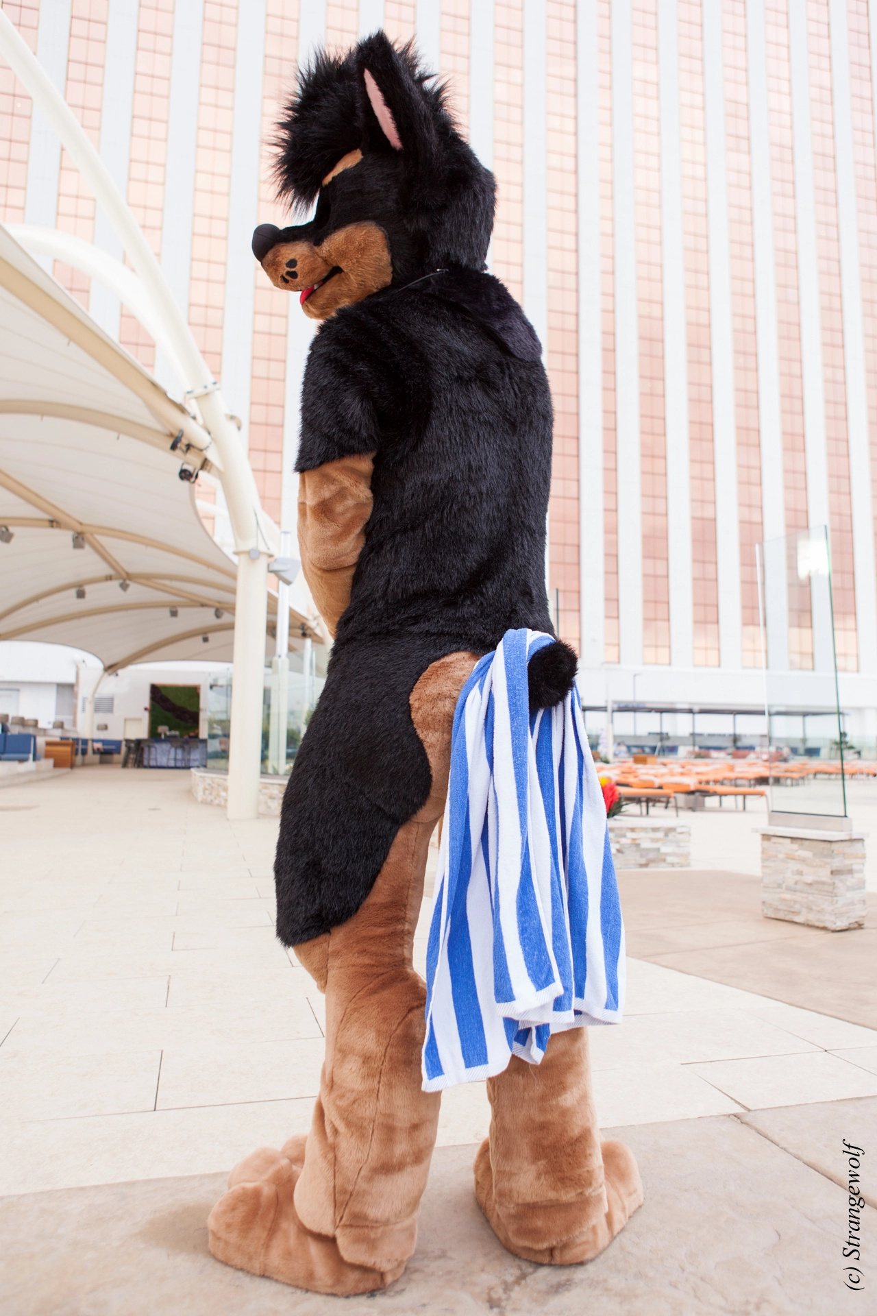full image IMG_2873-lr19t.jpg