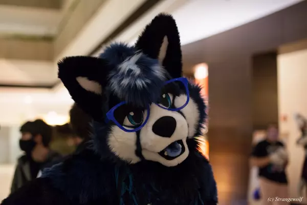 IMG_1102-lr19t.jpg of MFF/MFF2021/