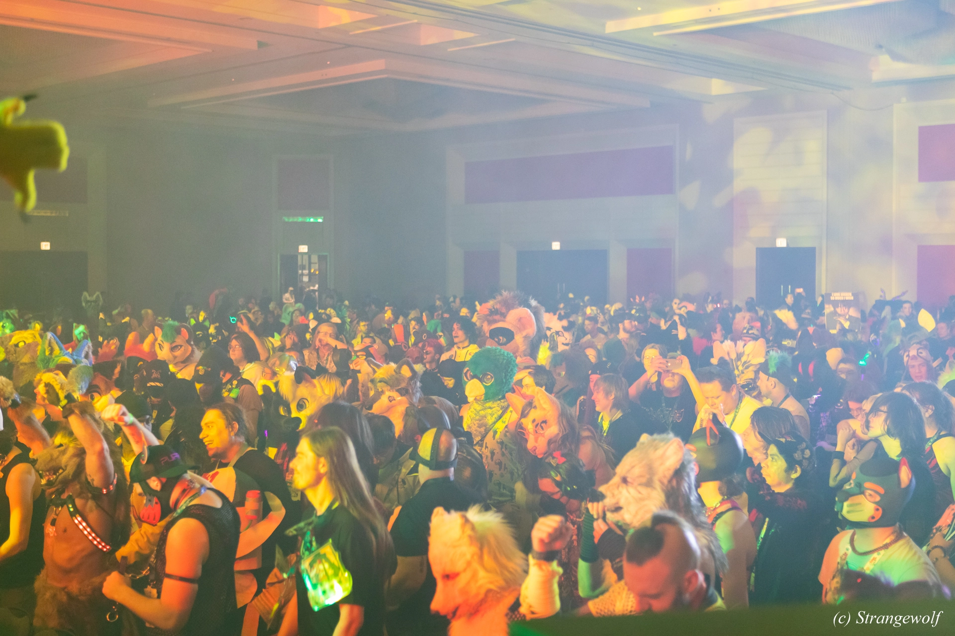 full image 1R3A4839-lr19t.jpg