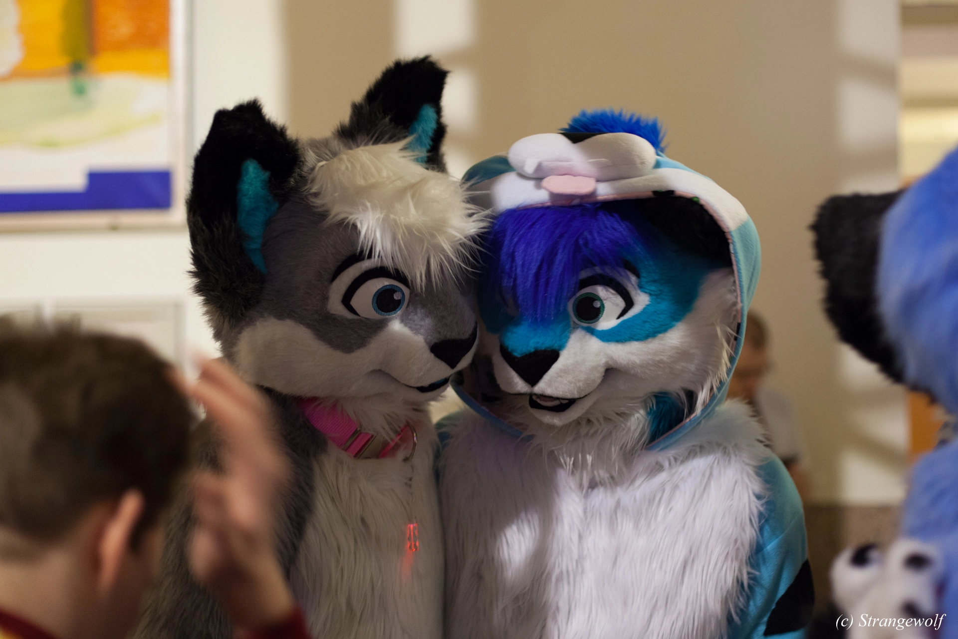 full image IMG_9358-lr19t.jpg