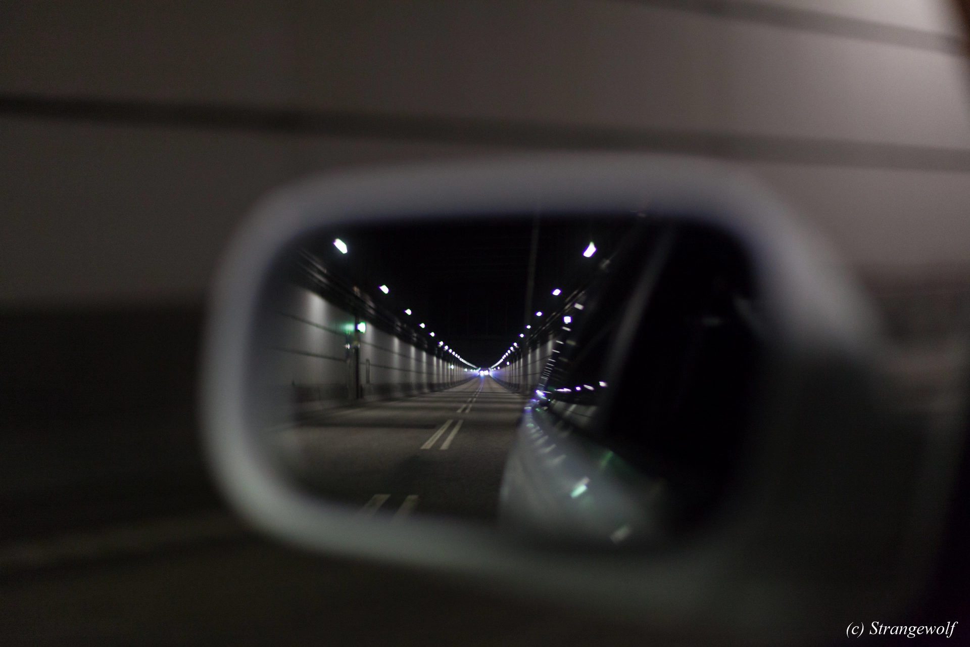 full image IMG_8492-lr19t.jpg